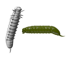 Gumená Nástraha Goliath 45mm 8ks