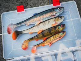 Nástraha Herring Shad V2 17,5cm 2ks