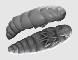 Gumená nástraha Largo 35mm 10ks