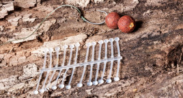 Silikónový držiak na boilies