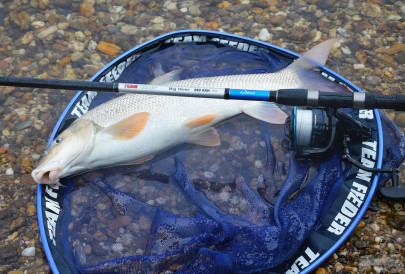 Udica Big River Feeder by Dome 390RHX 100-350g