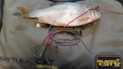 Klip na nástrahu Baitclips