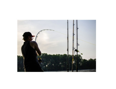 Šnúra sumcová Zeus G2 250m