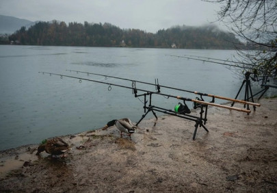Ako si vybrať správny kaprársky stojan – tripod alebo rodpod?