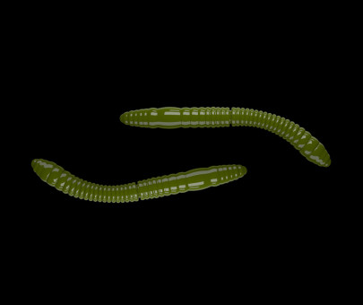 Gumená Nástraha Fatty D´Worm Tournament 55mm 12ks