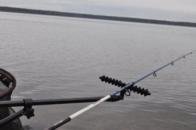 Udica Stinger Feeder