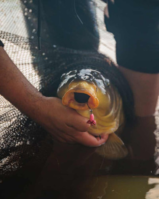 Nadväzec Carp Ready Rig Fluoro D Rig