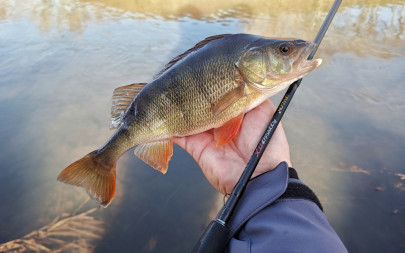 Udica Aggressor MTX Toray