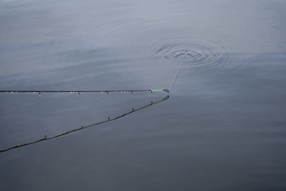 Udica Limitless Feeder