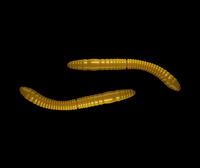 Gumená Nástraha Fatty D´Worm Tournament 55mm 12ks