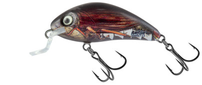 Wobler Rattlin Hornet Shallow 3,5cm Floating