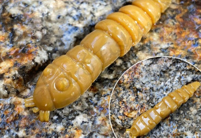 Gumená nástraha Kukolka 27mm 15ks