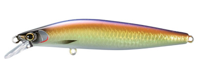 Wobler Cardiff ML Bullet AR-C 93mm