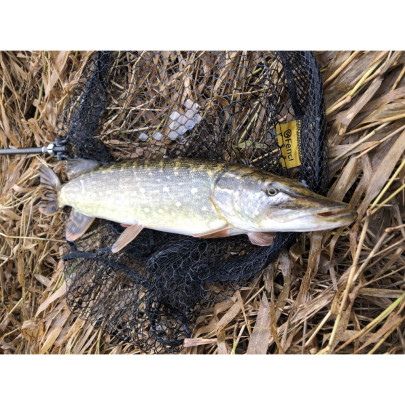 Podberák Predator XL Teleskop Nature s pogumovanou sieťkou