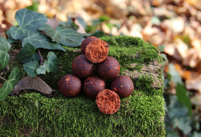 Boilies Rapid Excellent ProActive 3,3kg + vedro