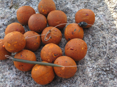 Rapid Champion Platinum - B17