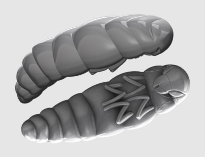 Gumená nástraha Largo 35mm 10ks