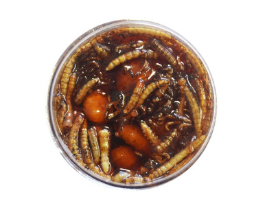 Tigrí orech nakladaný XXL Červík 150ml