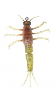 Mayfly 50 mm 2,5g 3D
