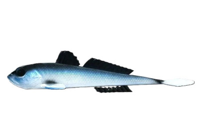 Nástraha Gobio 18,6cm 40g