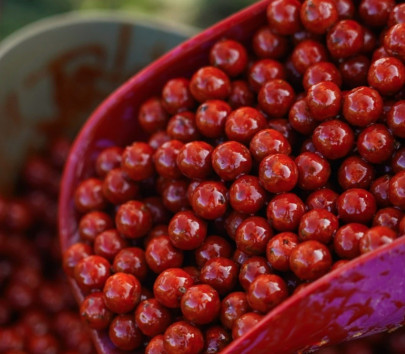 Booster Sriracha Hot Chilli 1l