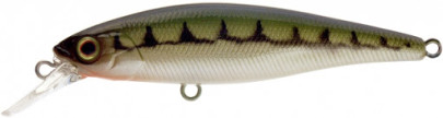 Wobler Squad Minnow 65 SP