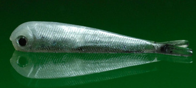 Gumená nástraha Mikrosmáčik SSR 1