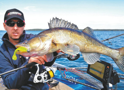 Udica CityLiner Spin