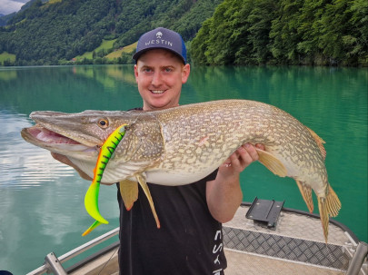 Nástraha BullTeez Curltail 21cm 49g