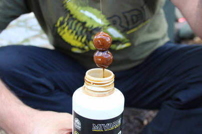 Rapid Champion Platinum - B17