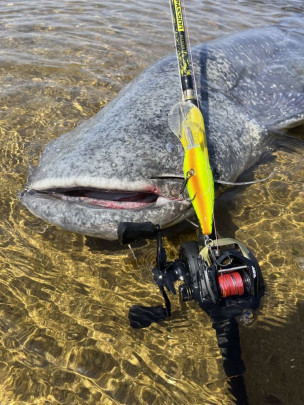 Udica Perfect Passion Allstar Cast 2,2 m 30-130 g