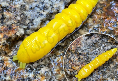 Gumená nástraha Kukolka 27mm 15ks