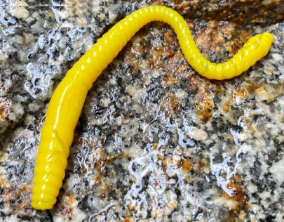 Gumená nástraha Dying Worm 70mm 15ks