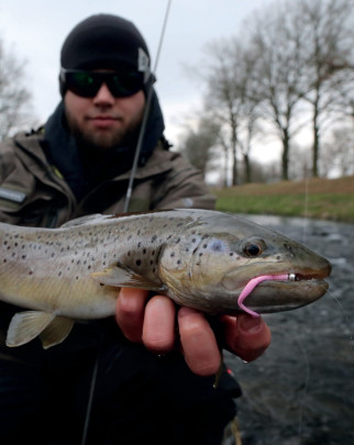 Gumená nástraha Dying Worm 70mm 15ks