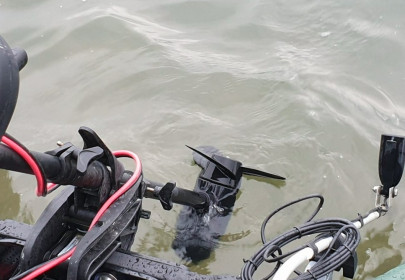 Elektromotor Haswing 65lb s maximalizérom