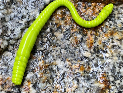 Gumená nástraha Dying Worm 70mm 15ks