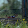 Bivak Monster Bivvy 2,5 Man MK2