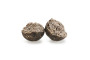 Boilies Rapid Starter 3500g