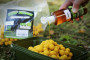Boilies Light Line 3kg + 250ml dip